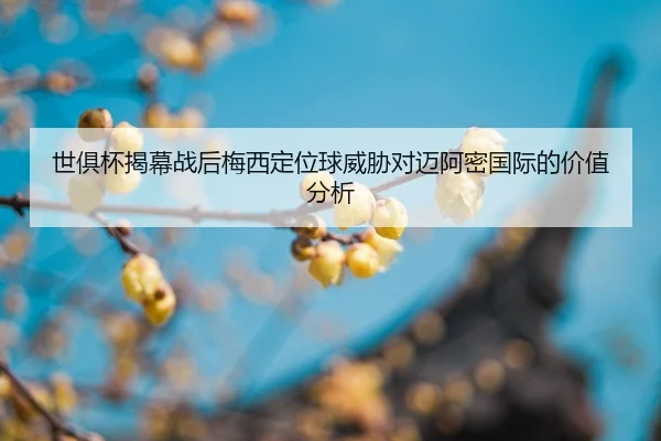 shi-ju-bei-jie-mu-zhan-hou-mei-xi-ding-wei-qiu-wei-xie-dui-mai-a-mi-guo-ji-de-jia-zhi-fen-xi-2-876.jpg