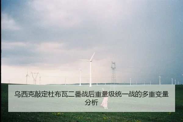 乌西克敲定杜布瓦二番战后重量级统一战的多重变量分析