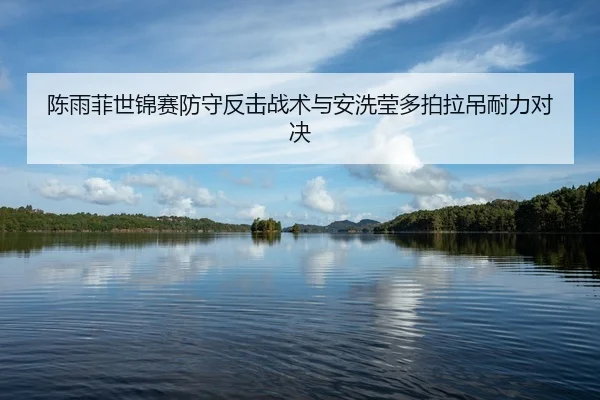 陈雨菲世锦赛防守反击战术与安洗莹多拍拉吊耐力对决